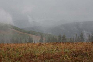 soapstone-1