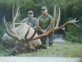 Spider Bull Photos!!!