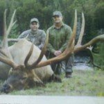 spider-bull3 spider-bull3