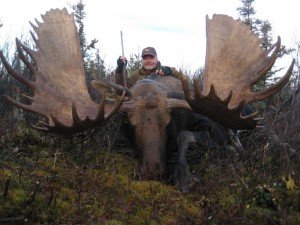 hugemoose