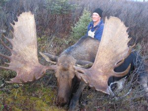 hugemoose2