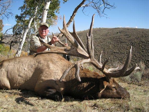 Local Newspaper Report on the Spider Bull – Let the Controversy Continue