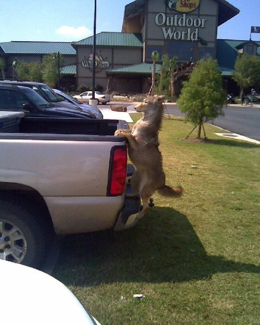 Hold On!