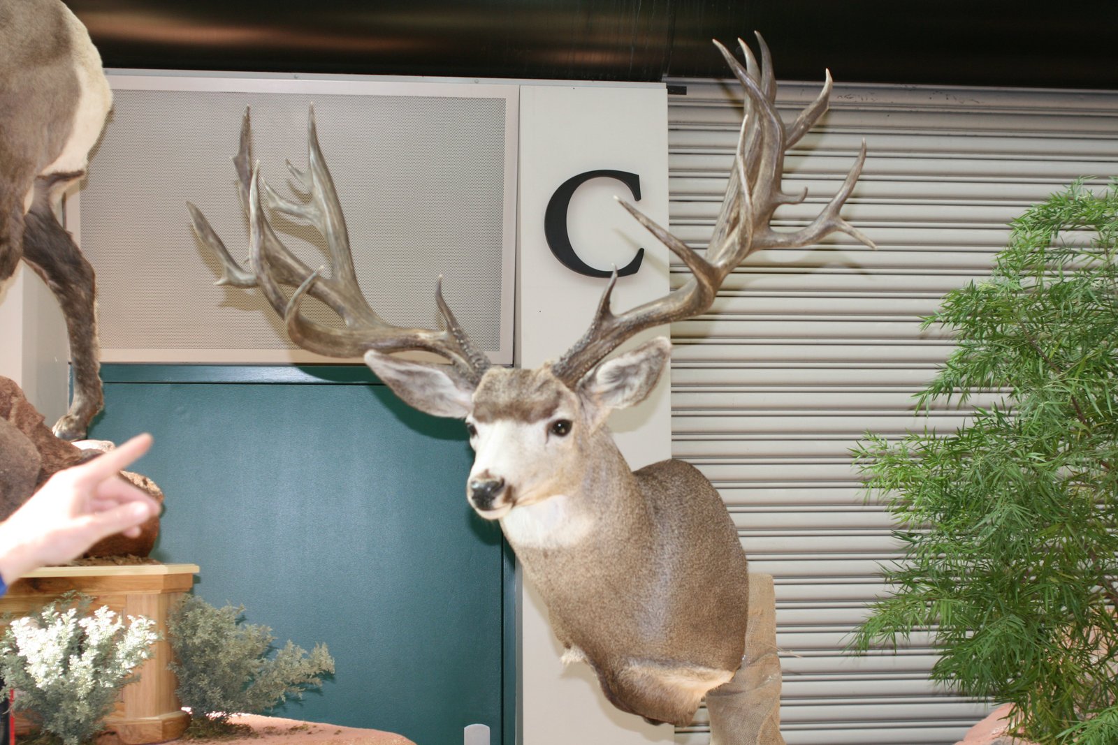 Hunting Expo