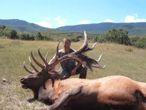 bigbull2