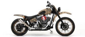 ganderbike1 ganderbike1