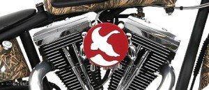 ganderbike3 ganderbike3