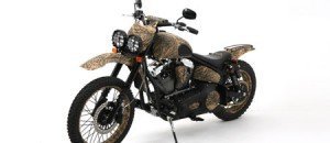 ganderbike5 ganderbike5