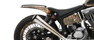 ganderbike6 ganderbike6