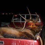poachers