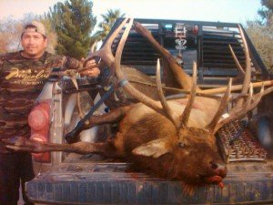Neville_Elk