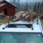 Who needs a truck?