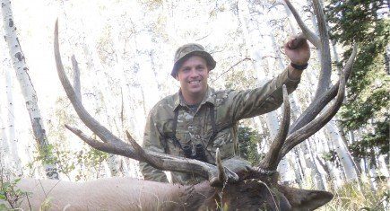 Elk 1 Elk 1