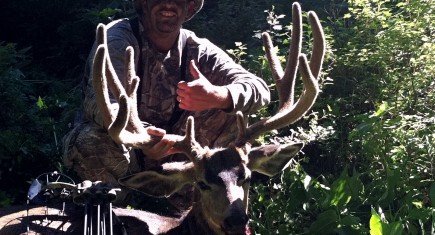 Scotts Deer Scotts Deer