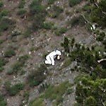 GoatMan3